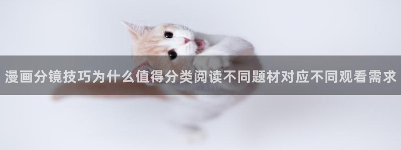 羞羞漫画漫画章节：漫画分镜技巧为什么值得分类阅读不同题材对应不同观看需求